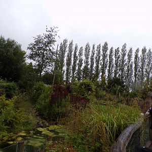 Andean bear enclosure 29.6.24