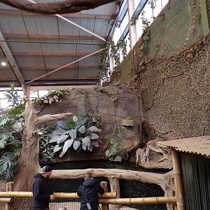 View of the Asian aquarium inside the elephant house 29.6.24