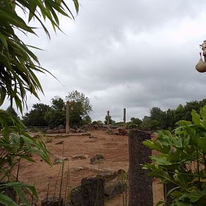 Asian elephant enclosure 29.6.24
