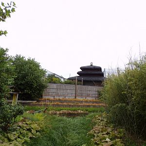 View of bird walkthrough aviary from tiger enclosure 29.6.24
