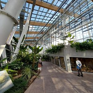 Egzotarium Sosnowiec - Desert Greenhouse