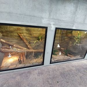 Egzotarium Sosnowiec - Desert Greenhouse - Ball Python (right) and Spiny-tailed Monitor (left) exhibits