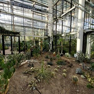 Egzotarium Sosnowiec - Desert Greenhouse