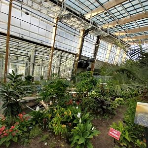 Egzotarium Sosnowiec - Mediterranean Greenhouse