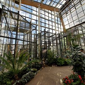 Egzotarium Sosnowiec - Mediterranean Greenhouse - Bird aviaries