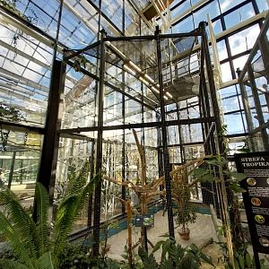 Egzotarium Sosnowiec - Mediterranean Greenhouse - Military Macaw (Ara militaris) aviary