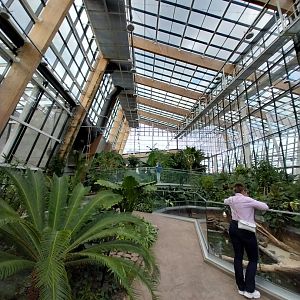 Egzotarium Sosnowiec - Mediterranean Greenhouse