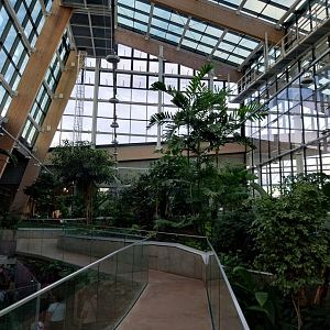 Egzotarium Sosnowiec - the Tropics