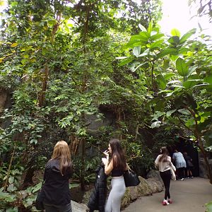 View inside the monsoon forest 29.6.24