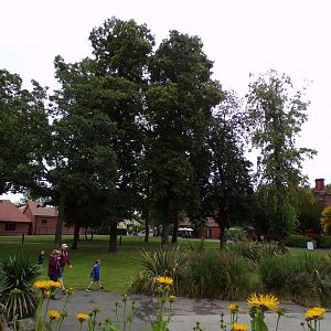 General view in the zoo 29.6.24