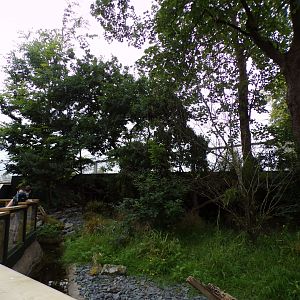 Red panda enclosure 29.6.24