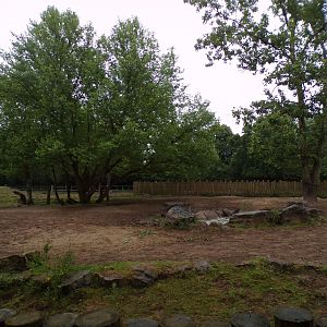 Indian rhinoceros and Brow-antelered deer enclosure 29.6.24