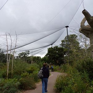 View of lemur walkthrough 29.6.24