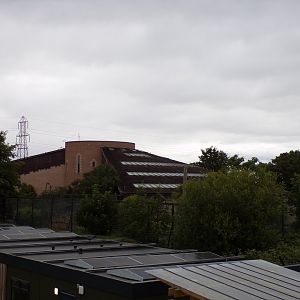 View of Spirit of the Jaguar from ROtRA 29.6.24