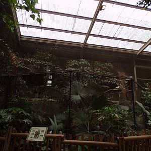 Great hornbill aviary in elephant house 29.6.24