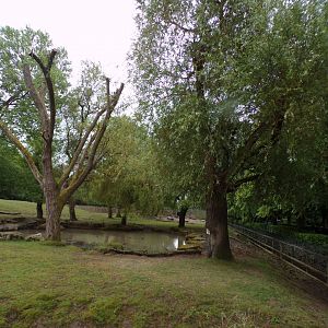 Indian rhinoceros and Brow-antlered deer enclosure 29.6.24