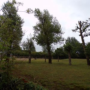 Indian rhinoceros and Brow-antlered deer enclosure 29.6.24