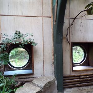 Viewing sections to outdoor enclosures inside monkey house 29.6.24