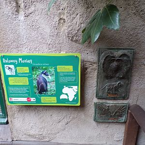 Example of sign 29.6.24