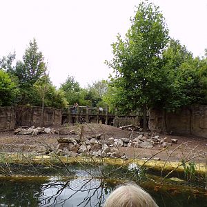 View of visayan warty pig enclosure from riverboat 29.6.24