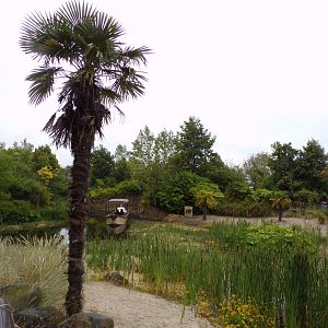 General view in Islands  29.6.24