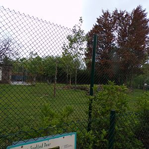 Visayan spotted deer enclosure 29.6.24