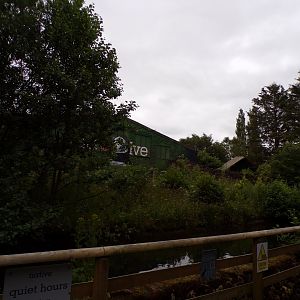 Former orangutan enclosure 29.6.24