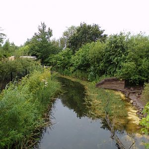 View of riverboat ride in Islands 29.6.24