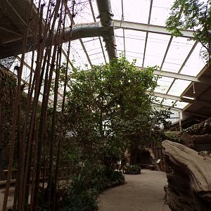 View inside elephant house 29.6.24