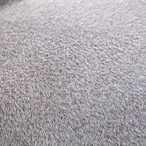 Malayan tapir closeup 29.6.24