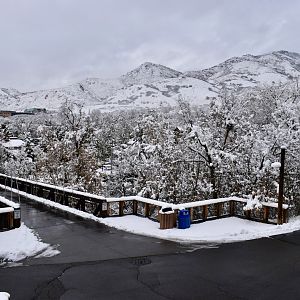 Bridge to Rocky Shores