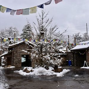 Plaza - Asian Highlands