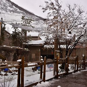 Habitat 1 - Asian Highlands