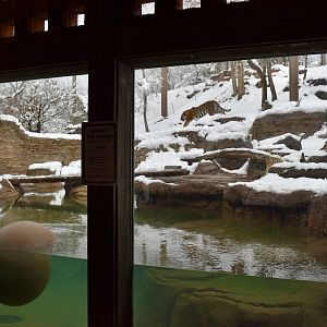 Habitat 4 - Asian Highlands