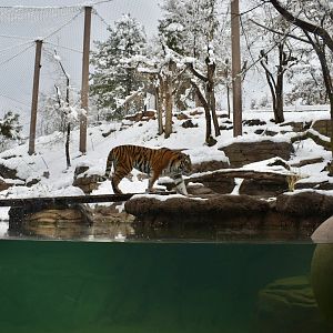 Habitat 4 - Asian Highlands