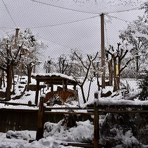 Habitat 4 - Asian Highlands