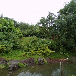 Andean bear enclosure 29.6.24