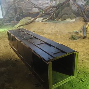 Transport crate in the Komodo dragon exhibit, 2025-01-04