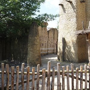 Serenga - Miniature donkey paddock, 2024-06-23