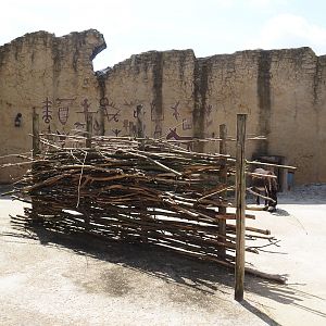 Serenga - Dogon Village - Miniature donkey paddock, 2024-06-23
