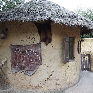 Serenga - Dogon village - Gimpel/Archangel pigeon coop, 2024-06-23