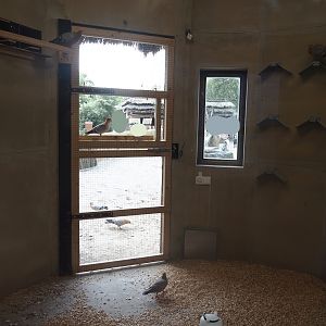 Serenga - Dogon village - Gimpel/Archangel pigeon coop interior, 2024-06-23