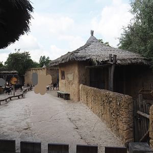 Serenga - Dogon village - Anglo-Nubian goat, Pygmy goat and Swedish flower chicken walk-through paddock, 2024-06-23