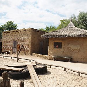 Serenga - Dogon village - Anglo-Nubian goat, Pygmy goat and Swedish flower chicken walk-through paddock, 2024-06-23