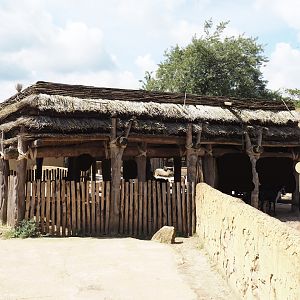 Serenga - Dogon village - Anglo-Nubian goat and Pygmy goat shelter, 2024-06-23