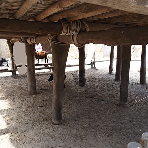 Serenga - Dogon village - Anglo-Nubian goat and Pygmy goat shelter, 2024-06-23