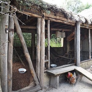 Serenga - Swedish flower chicken aviary, 2024-06-23