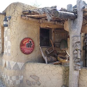 Serenga - Dogon Village - Domestic rabbit exhibit, 2024-06-23