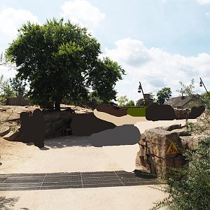 Serenga - Black-tailed prairie dog walk-through exhibit, 2024-06-23