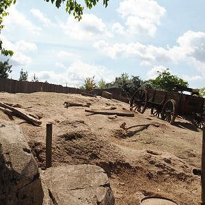 Serenga - Black-tailed prairie dog walk-through exhibit, 2024-06-23